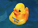 Rubber Duck